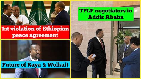 The 2018 Addis Ababa Peace Agreement: Bridging Divides and Fostering Ethiopian Unity amidst Persistent Challenges