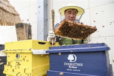 판교 유스페이스, 그리고 도시 속의 우주적 상상력